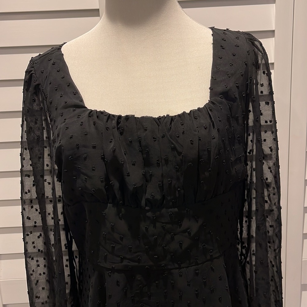 Lyaner Black gorgeous Dress in Swiss Dots Fabric. Long sheer Sleeves, lined. - Picture 5 of 8